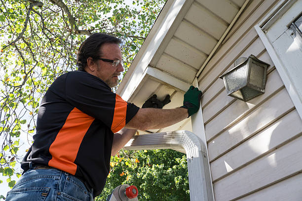 Affordable Siding Repair and Maintenance Services in Richardson, TX